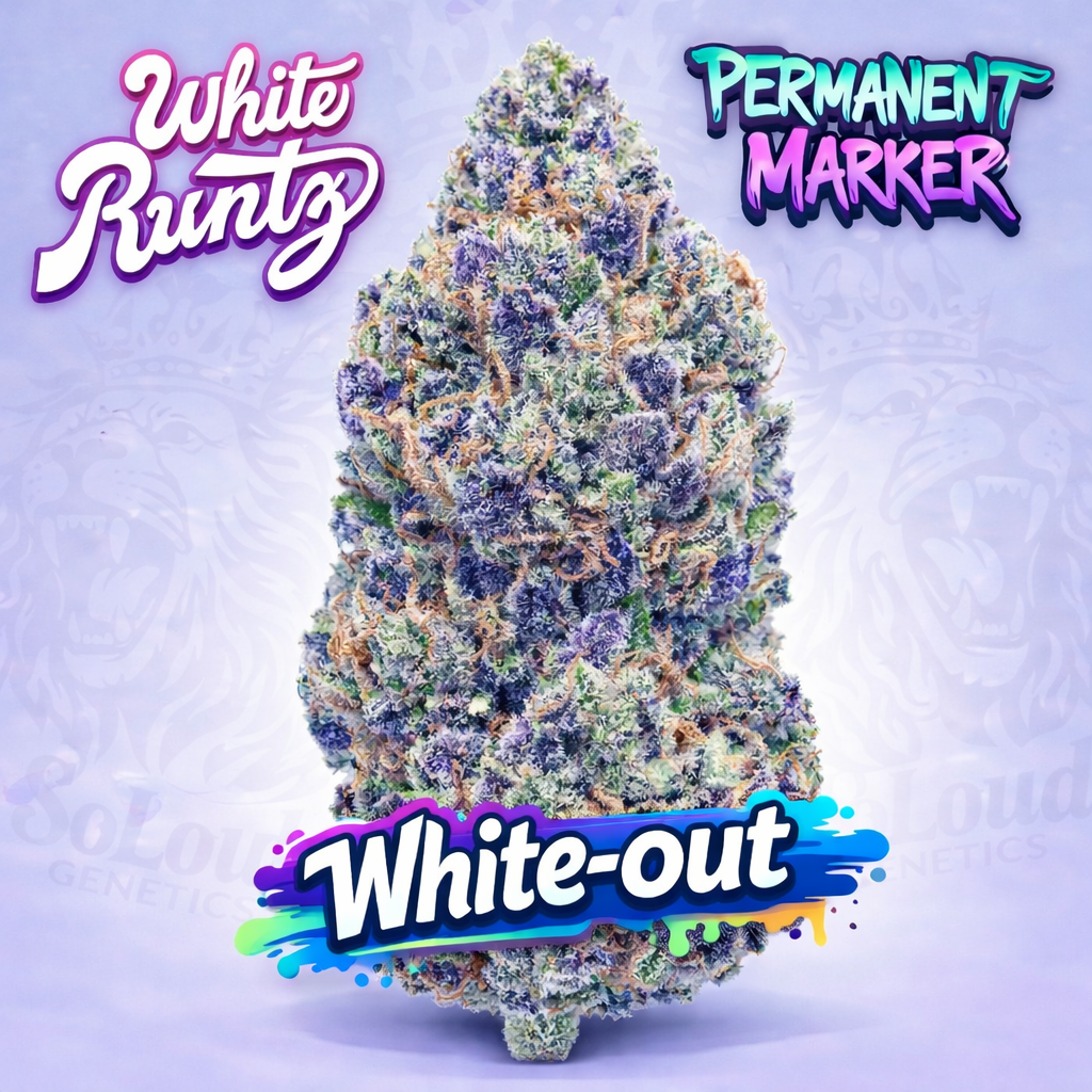 WHITE OUT (WHITE RUNTZ X PERMANENT MARKER) 