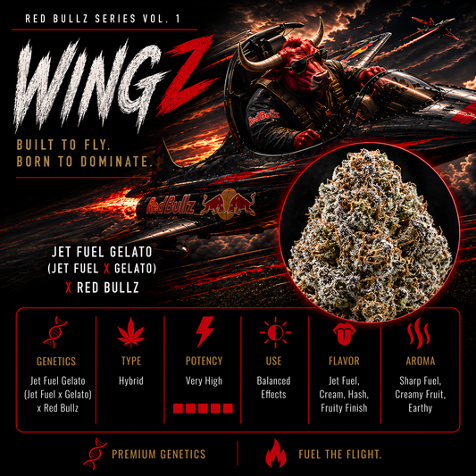 WINGZ (JET FUEL GELATO X RED BULLZ) FEM