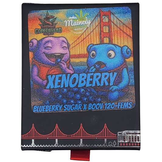 XENOBERRY  FEMINIZED SEEDS