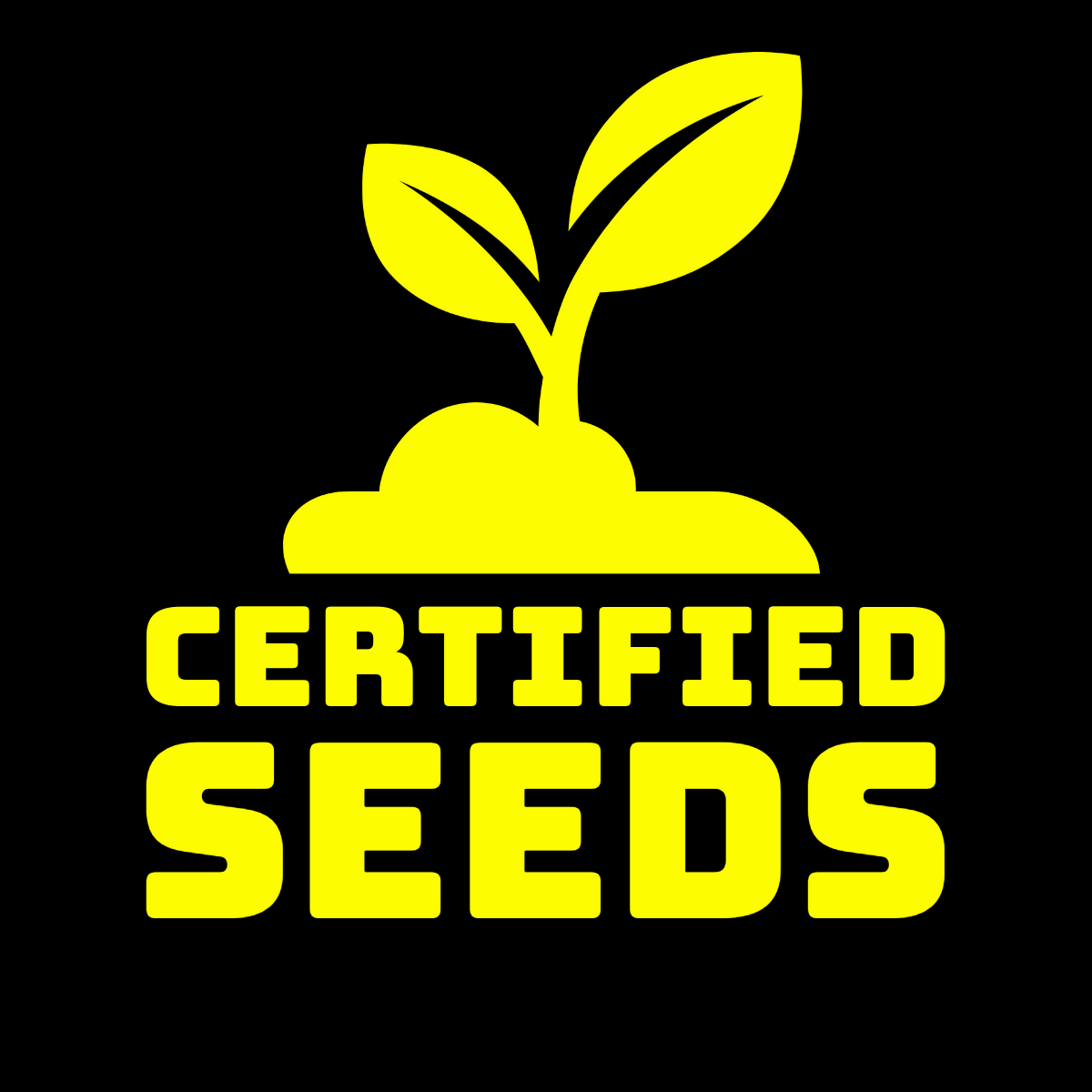 certified seeds (4)