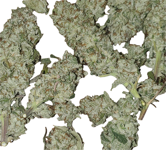 Airborne G13 S1
