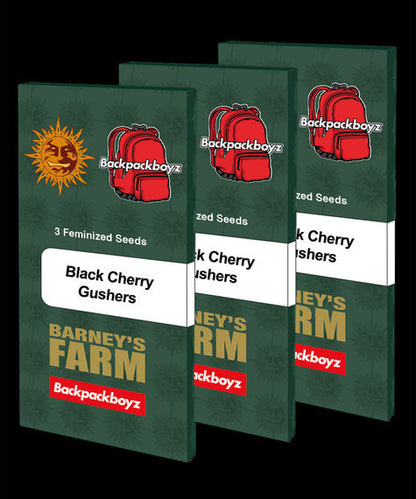 BLACK CHERRY GUSHERS (FEM)