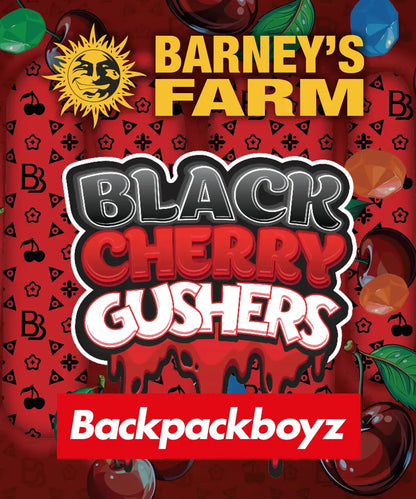 BLACK CHERRY GUSHERS (FEM)