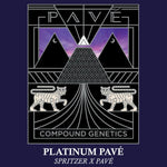 PLATINUM PAVÉ Spritzer x Pavé Strain Compound Genetics Feminized Seeds