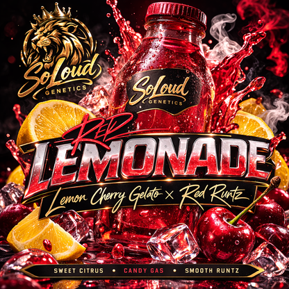 RED LEMONADE (LCG X RED RUNTZ) FEM