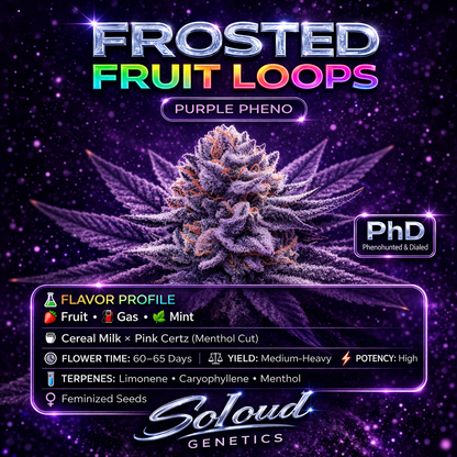 FROSTED FRUIT LOOPS (CEREAL MILK X PINK CERTZ) FEM