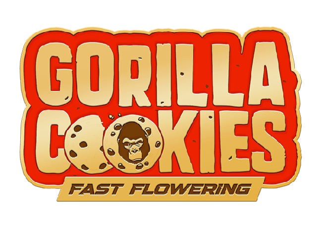 Gorilla Cookies FAST seeds