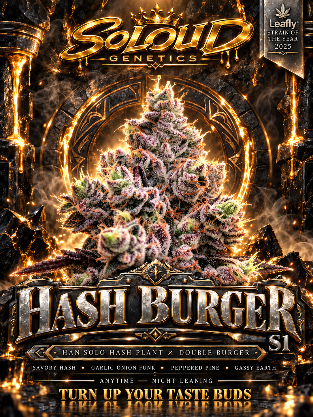 SoLoud Genetics Hash Burger S1