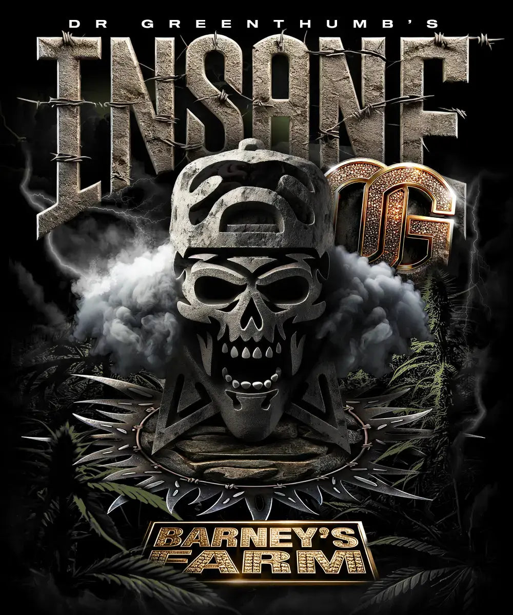 INSANE OG STRAIN SEEDS