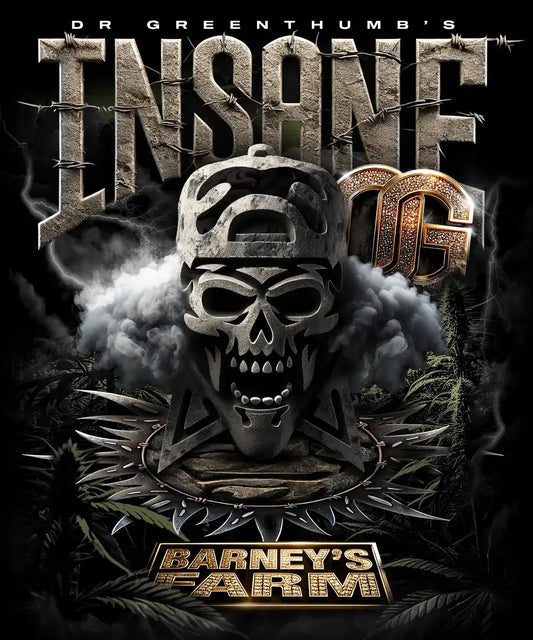 INSANE OG STRAIN SEEDS