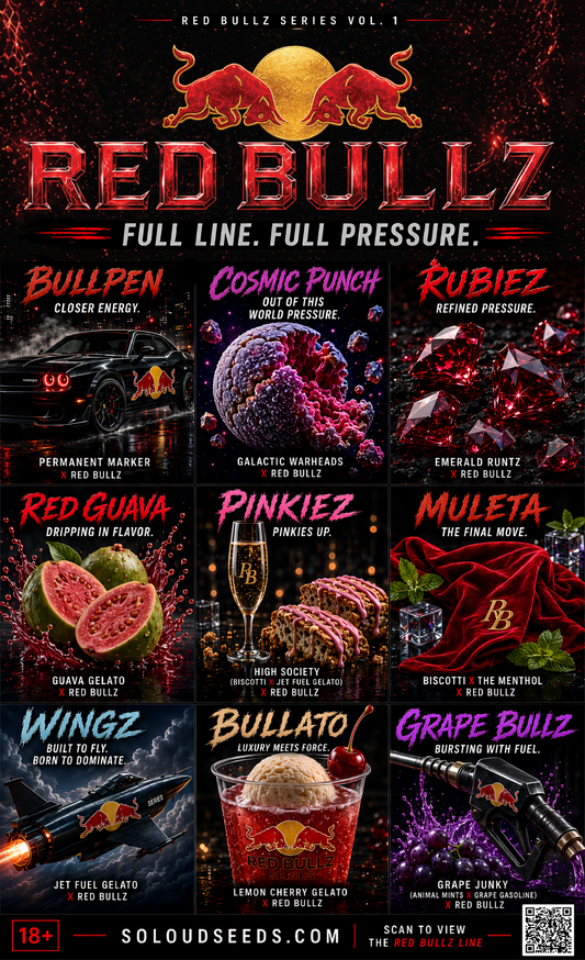 FULL RED BULLZ FEM LINE
