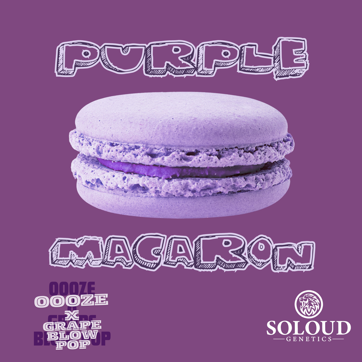 PURPLE MACARON (FEM)