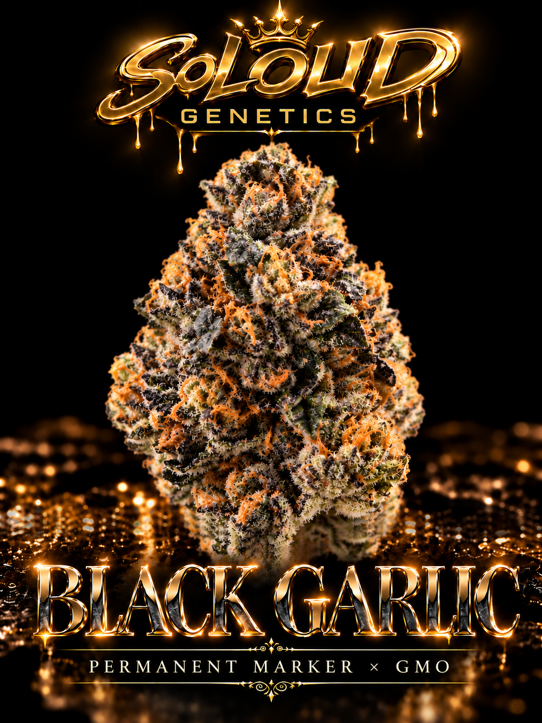 SoLoud Genetics Black Garlic — Permanent Marker × GMO final approved luxury artwork