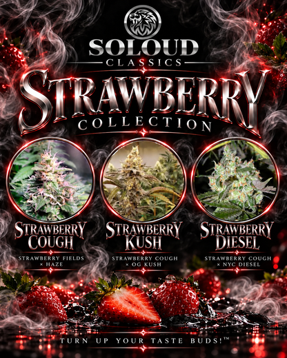 SOLOUD CLASSICS — STRAWBERRY COLLECTION | Strawberry Cough, Strawberry Kush, Strawberry Diesel — approved final lion logo poster