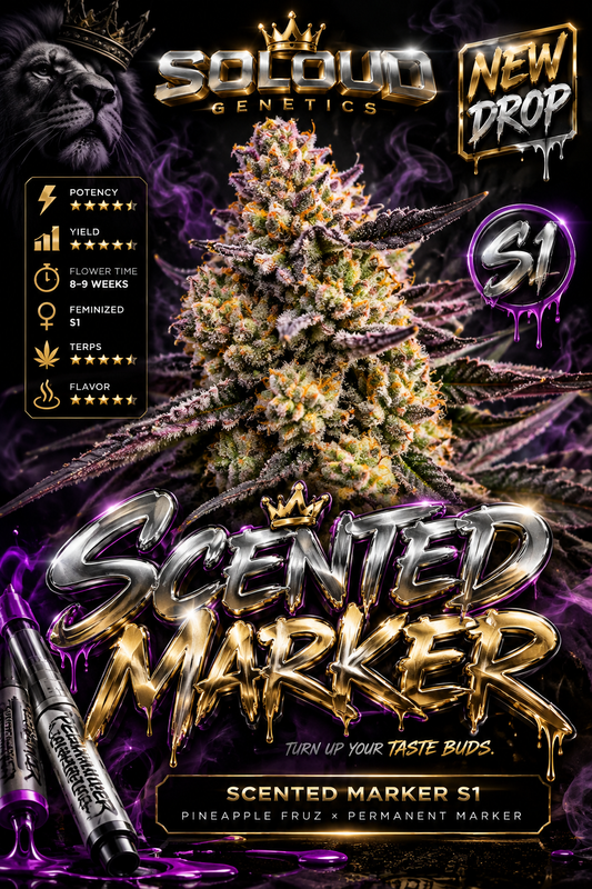 SoLoud Genetics Scented Marker S1 chrome and gold new drop poster