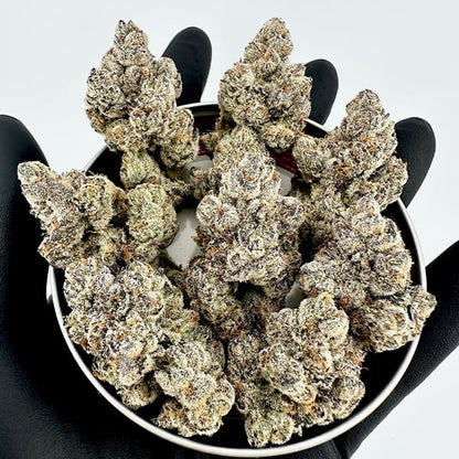 Stinky Twinky (Rainbow Chip x Baker’s Dozen) FEM