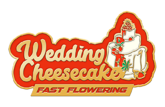 Wedding Cheesecake FAST Fems