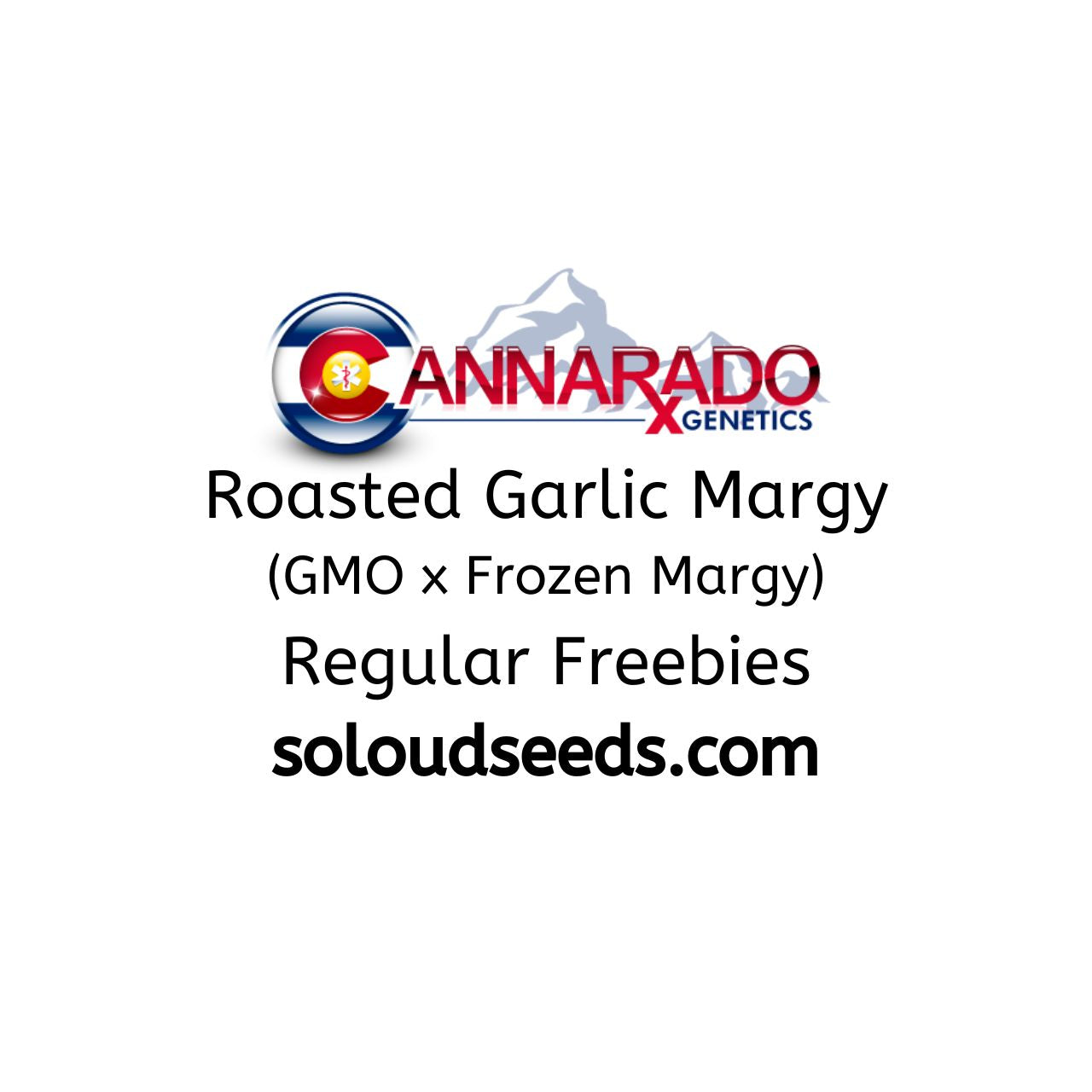 Roasted Garlic Margy (GMO x Frozen Margy) Freebies