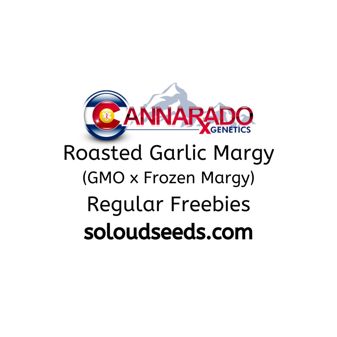 Roasted Garlic Margy (GMO x Frozen Margy) Freebies SLG