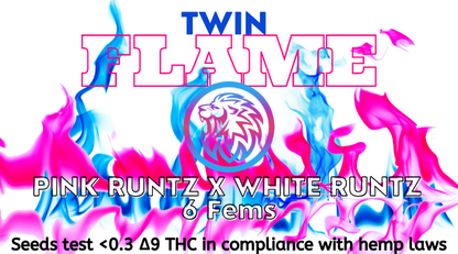 TWIN FLAME (FEM)