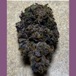 Gary Jealousy Strain S1 Seeds