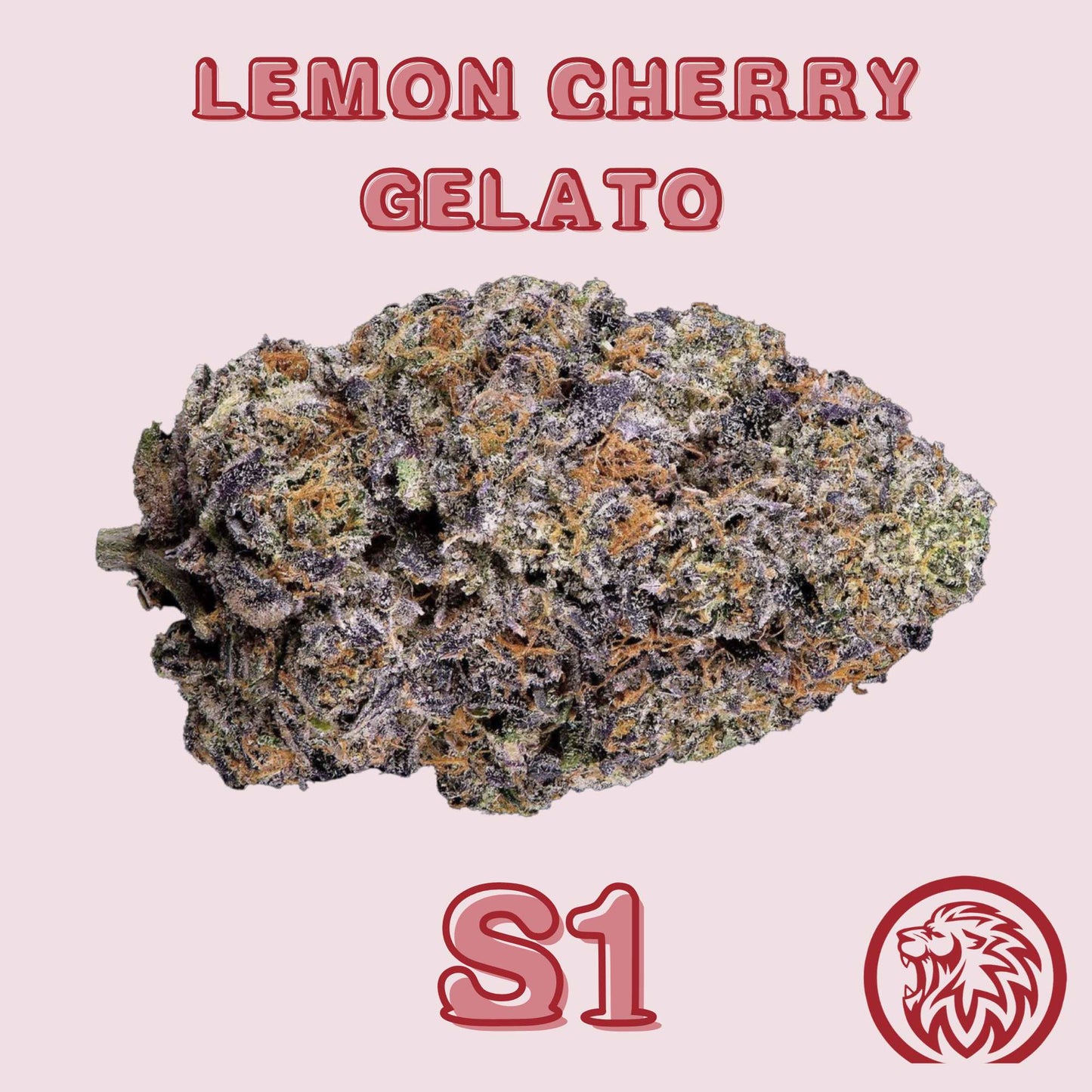 Lemon Cherry Gelato S1 Cannabis Seeds