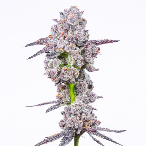 Lit Farms Lemon Cherry Soap Seeds