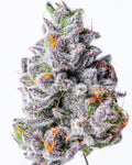 Lit Farms Lemon Cherry Fritter Seeds