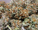 Showstopper (fems)