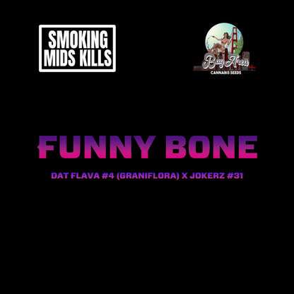 Funny Bone (fem)