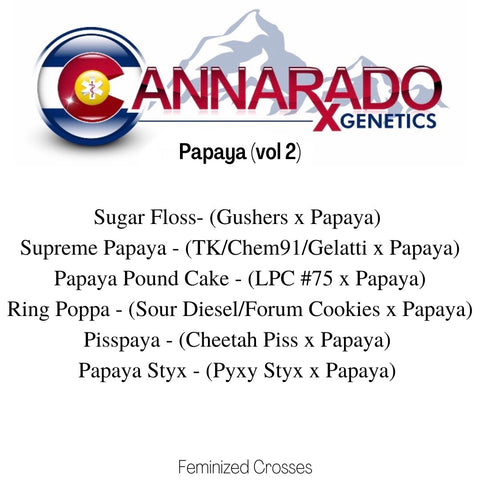 Ring Poppa Sour Diesel/Forum Cookies x Papaya Cannarado Genetics Seeds