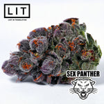 SEX PANTHER (FIRE CROTCH X ZOAP) FEMS
