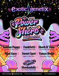 Power Sherb Box Set 6 Pack Fems (7+ Packs total)